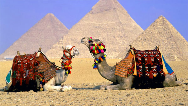 Когда откроют Египет для туристов из России?