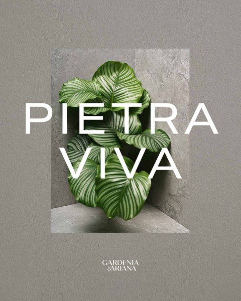 PIETRA VIVA