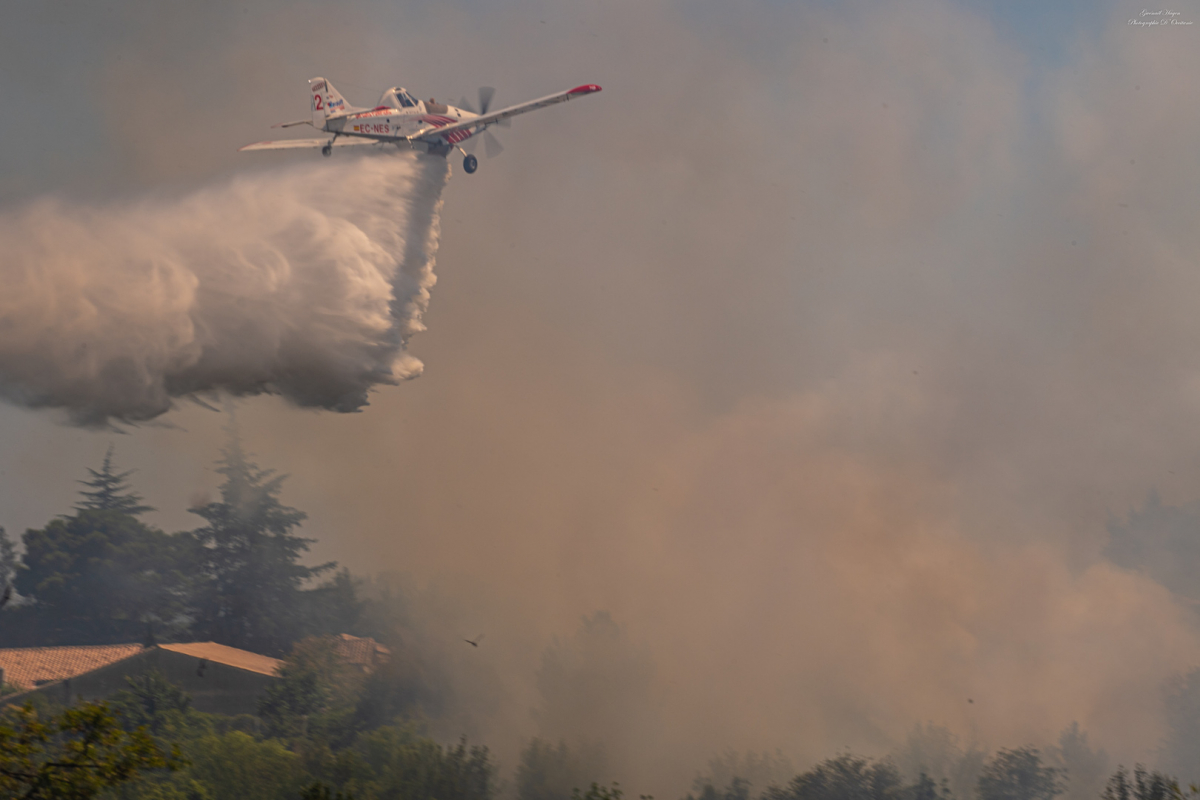Incendies de forêts : quelles alternatives aériennes ?