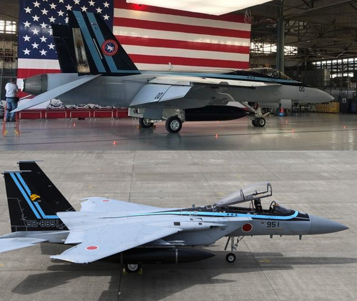 Comparaison entre le F/A-18E et le F-15J aux couleurs du film Top Gun : Maverick.