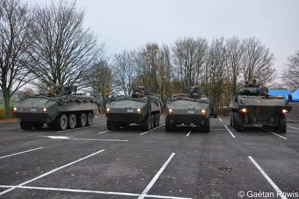 Quatre blindés de transport de troupe : 3 Piranha belges et 1 VBCI français.