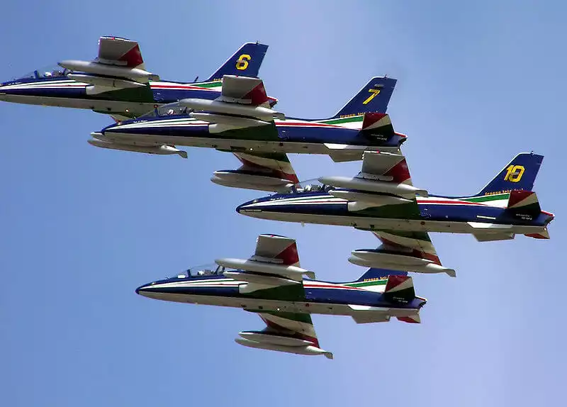 Un des avions de la patrouille des Frecce Tricolori victime d'une collision aviaire