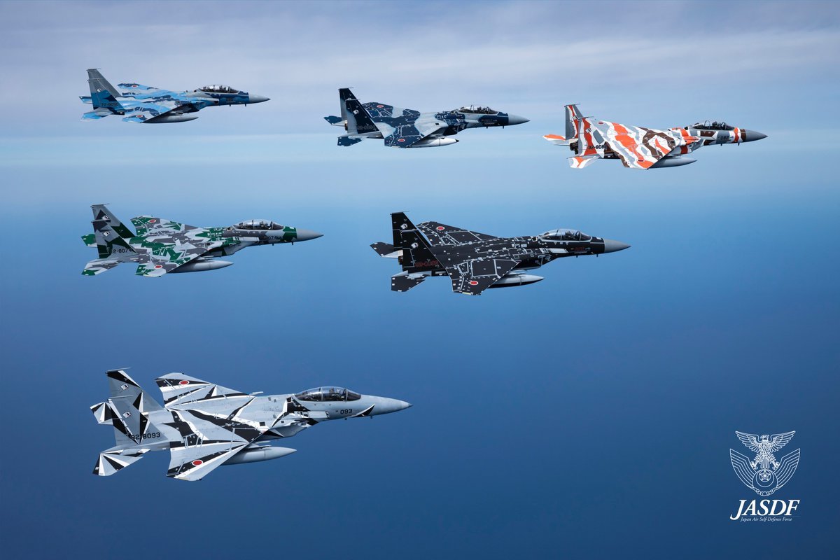 Quelques exemples des camouflages propres aux F-15J/DJ "aggressors" de la Force aérienne d'autodéfense japonaise.