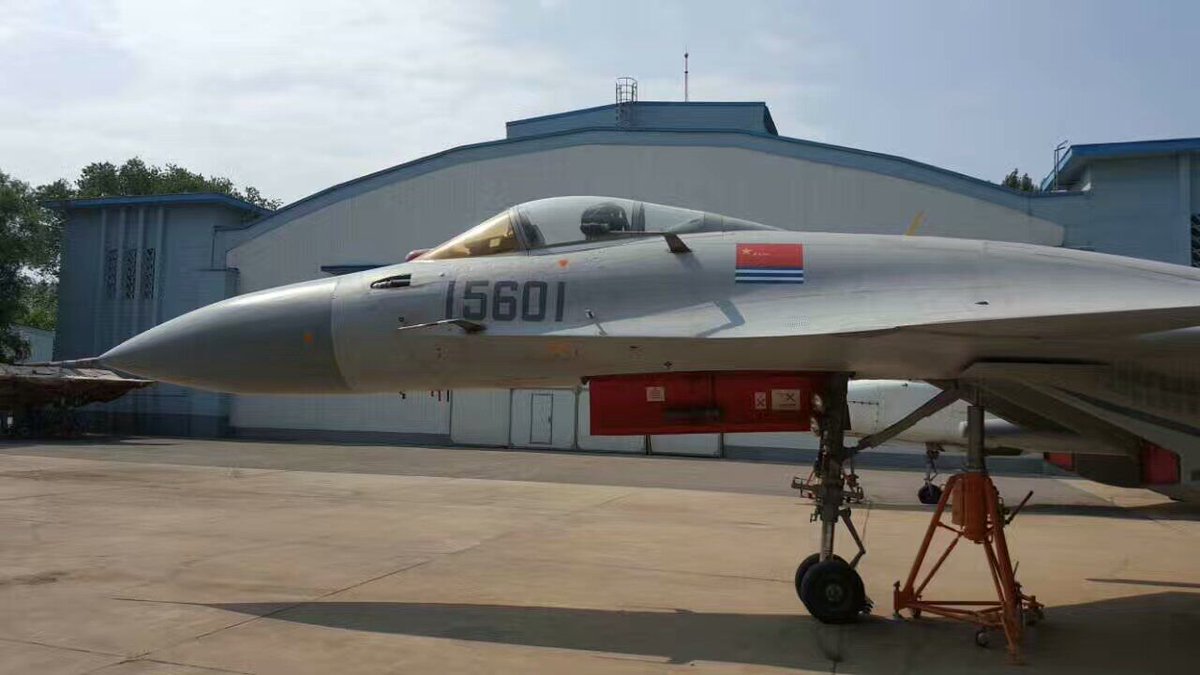 Su-33 chinois.jpg