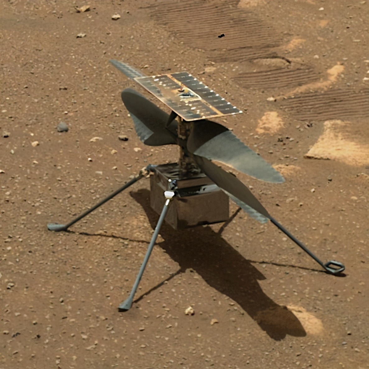 Le mini-hélicoptère Ingenuity fête sa première année d’activité sur Mars