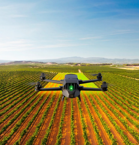 Parrot dédie un drone à l'agriculture