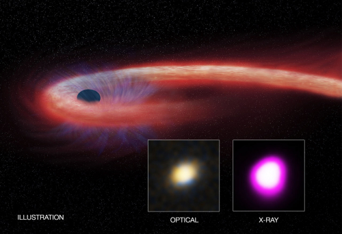 Observation d'une étoile absorbée par un trou noir