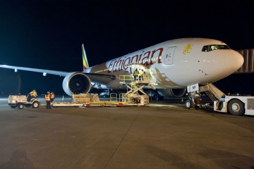 Air Djibouti, Ethiopian Airlines et le port de Djibouti forment un partenariat de fret aérien