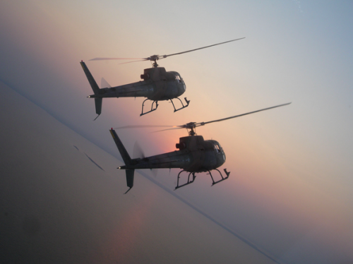 Les forces armées brésiliennes acquièrent 27 hélicoptères H125