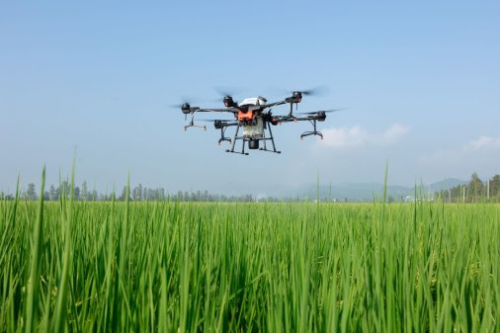 DJI : un drone capable de pulvériser 6 litres à la minute