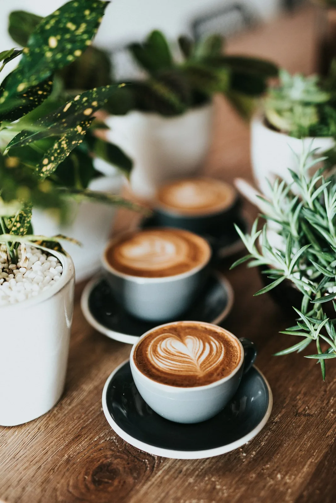 Latte