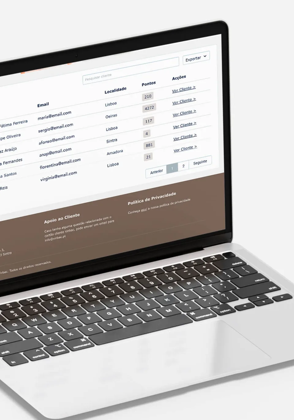 website screen