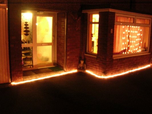 2007-12-17_235639_dscn3175_christmas_lights_300dpi_00667_00500.jpg