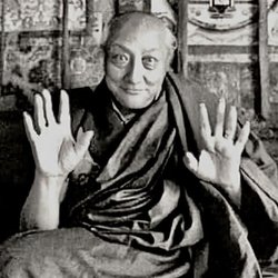 334596910_446075937693398_322756838902316967_n