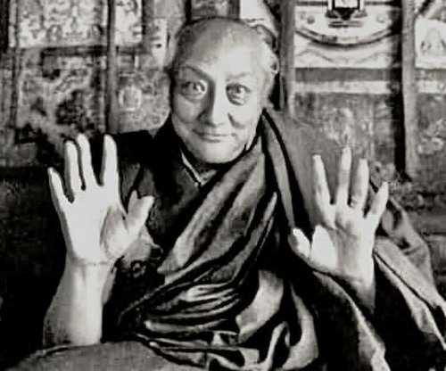 334596910_446075937693398_322756838902316967_n