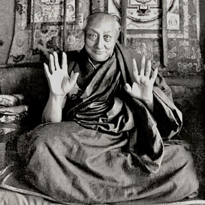 334596910_446075937693398_322756838902316967_n