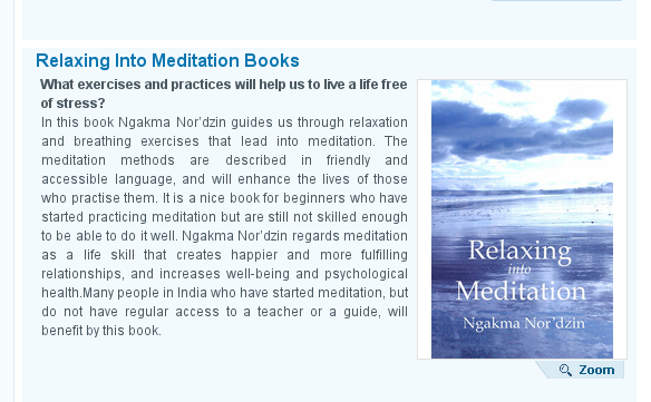 Enlightenment+To+Go+Books%252C+Hominine+Its+Time+To+Choose+Books%252C+Overland+A+Novel+Books%252C+Relaxing+Into+Meditation+Books_1307995321021.png