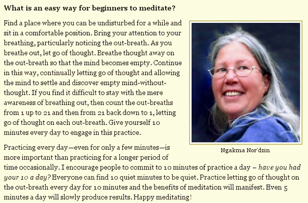 Relaxing+into+Meditation+%25E2%2580%2593+Q%2526A+with+Ngakma+Nor%25E2%2580%2599dzin_1313701322031.png