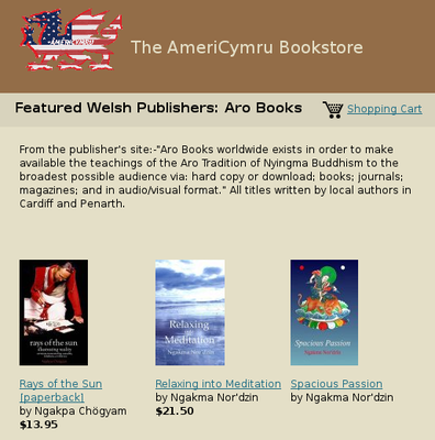 americymru_bookstore.png