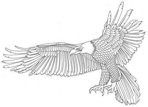 eagle1000.jpg
