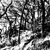 ila_006_sutra_to_tantra_coast_path_04000_02664.jpg