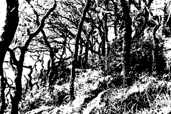 ila_006_sutra_to_tantra_coast_path_04000_02664.jpg