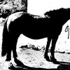 ila_013_addiction_dee_02058_01431.jpg
