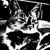 ila_137_smokey_threshold_00450_00600.jpg