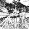ila_169_leaning_tree_edge_detect_invert_threshold_00600_00450.jpg