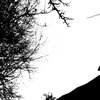 ila_213_sky_threshold_00450_00600.jpg