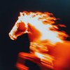 fireHorse