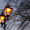 lamps.jpg