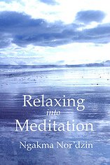 rim_eng_book_cover_front_00157_00240.jpg