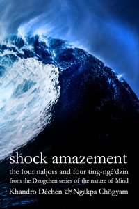 sha_eng_book_cover_front_00500_00774.jpg