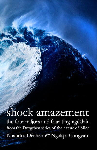 sha_eng_book_cover_front_00500_00774.jpg