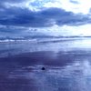 tenby_beach_00688_00500.jpg