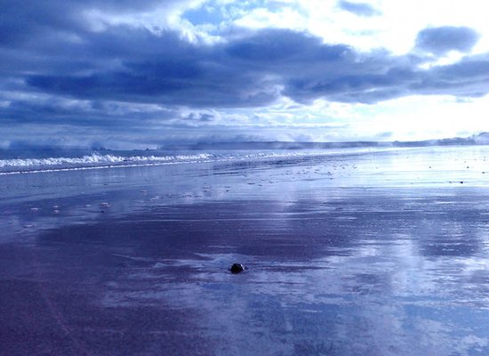 tenby_beach_00688_00500.jpg