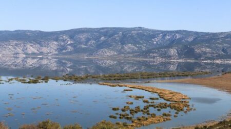 Ανακοίνωσή του Γραφείου Τύπου της ΚΕ του ΚΚΕ για το σχέδιο των Ολλανδών για τη Θεσσαλία