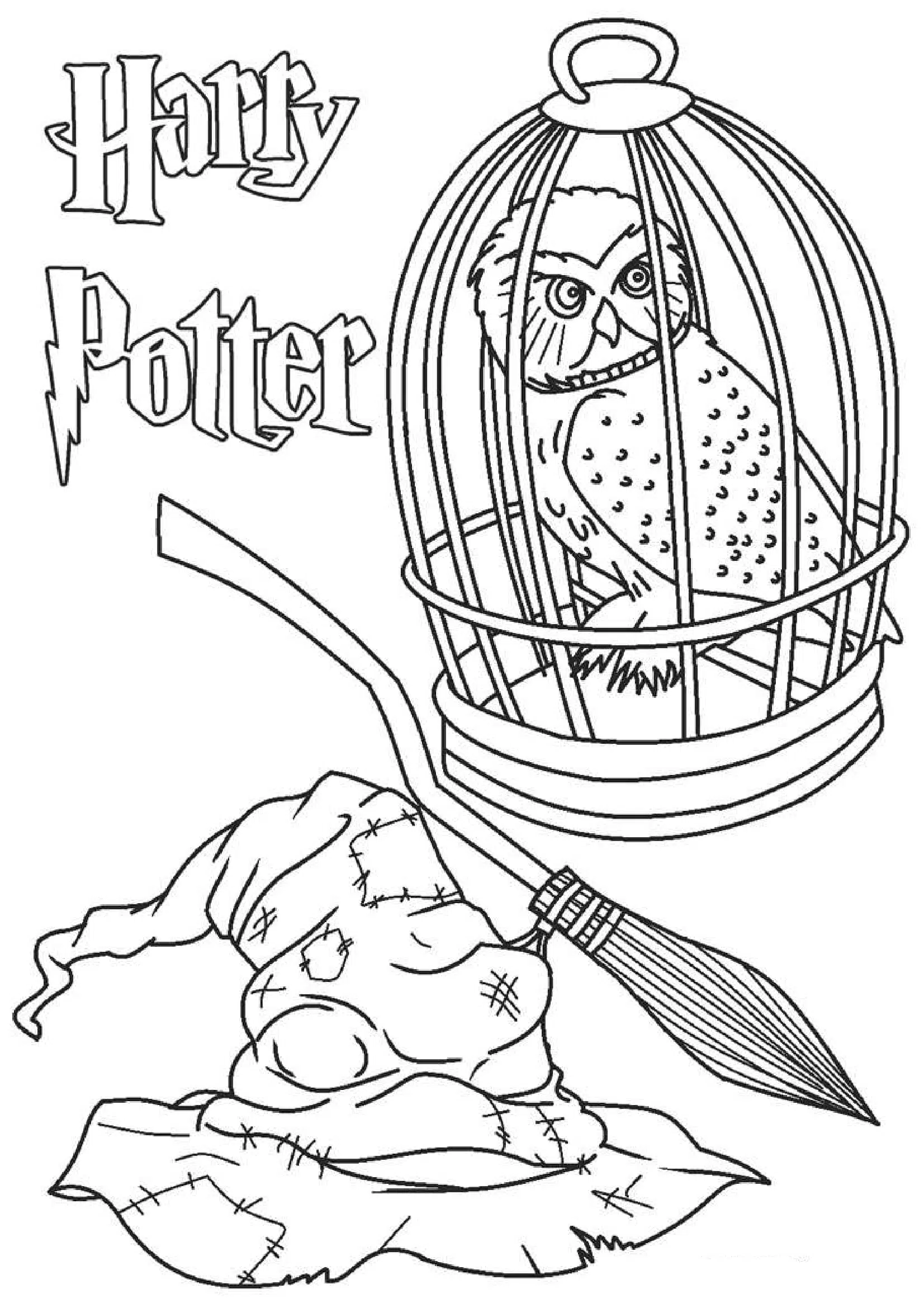Harry Potter 16