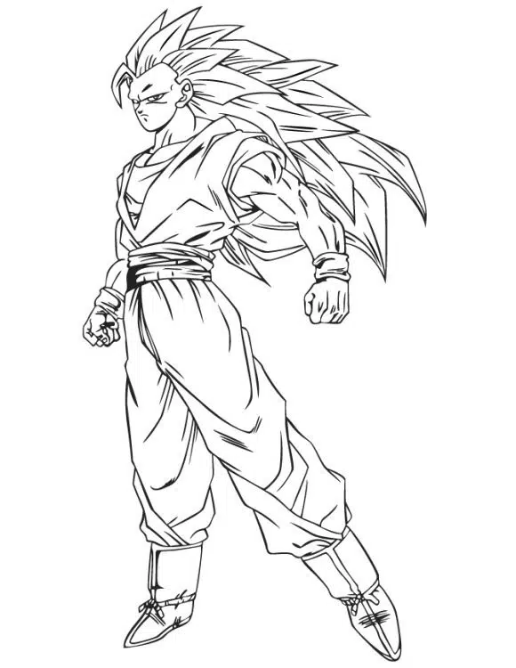 Son Goku 06