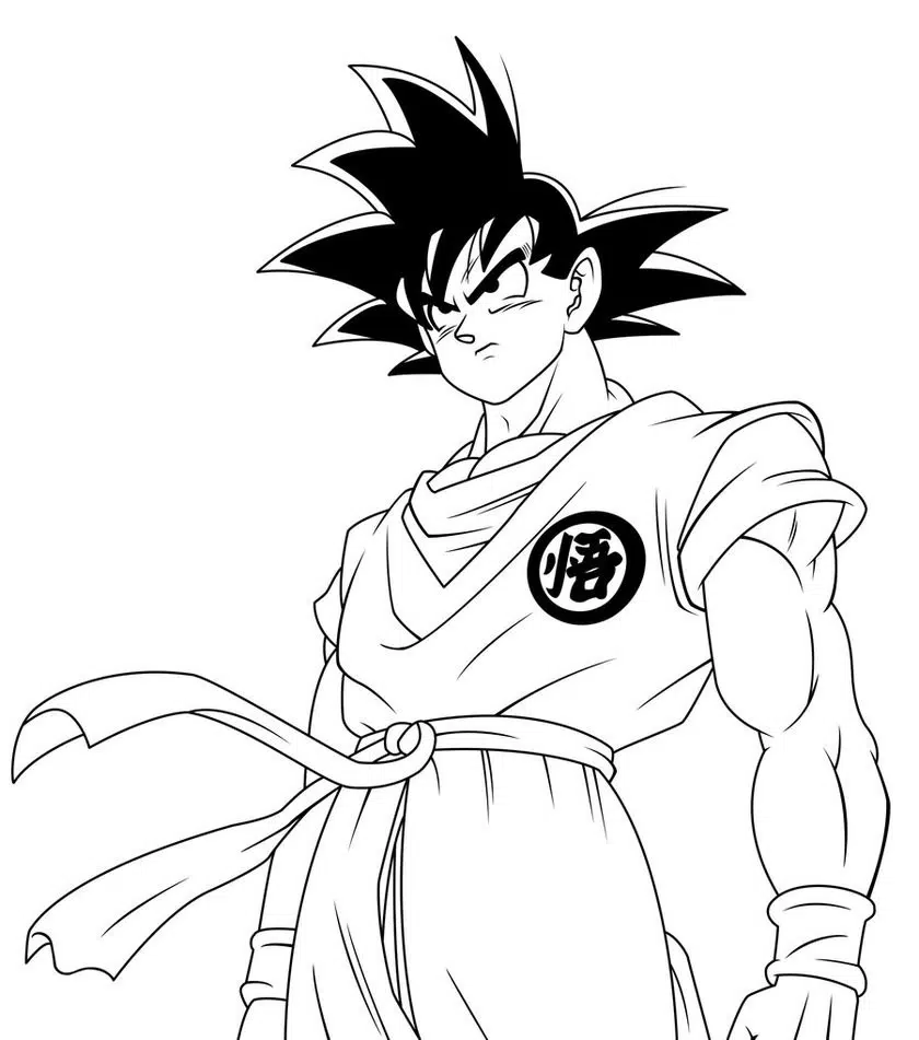 Son Goku 17