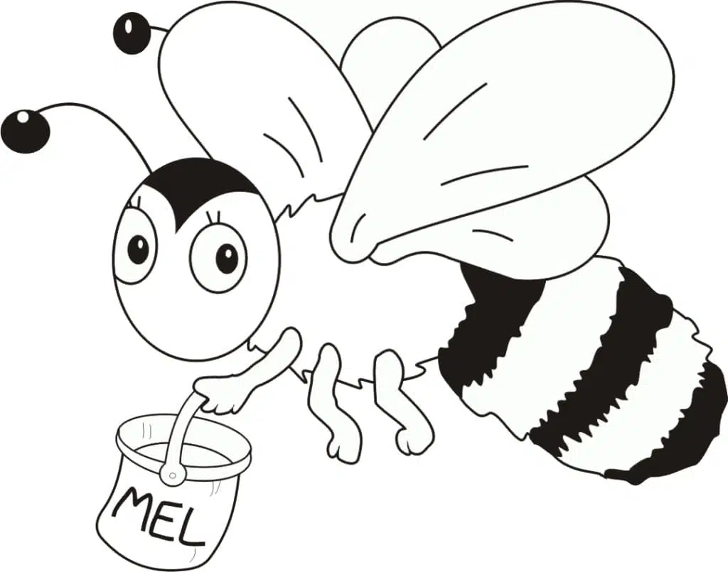 Bienen 29