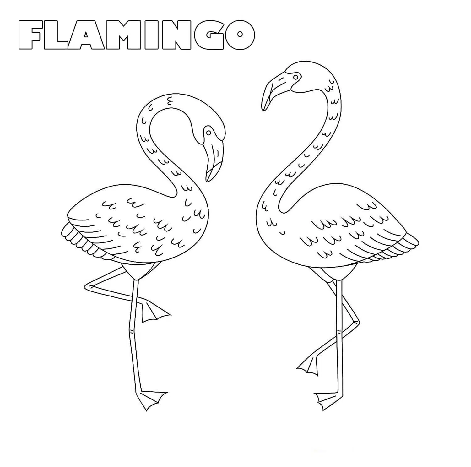 Flamingo 05