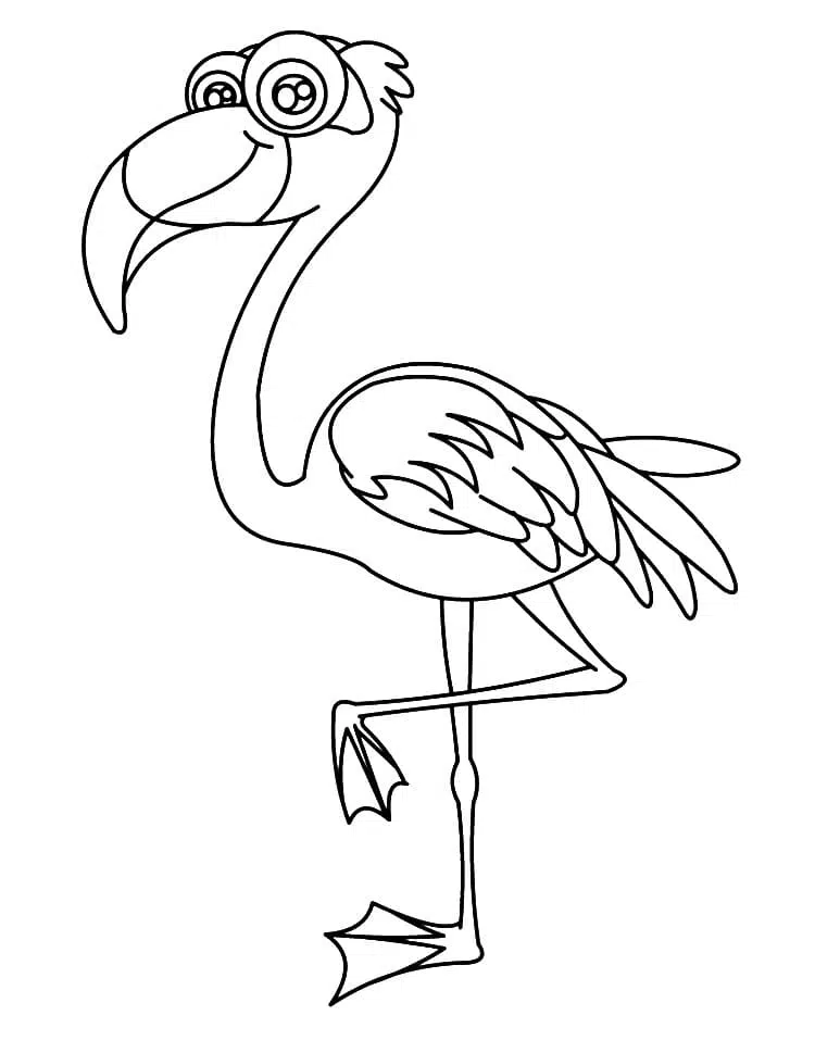 Flamingo 16