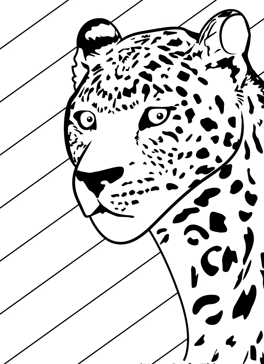 Leopard 03