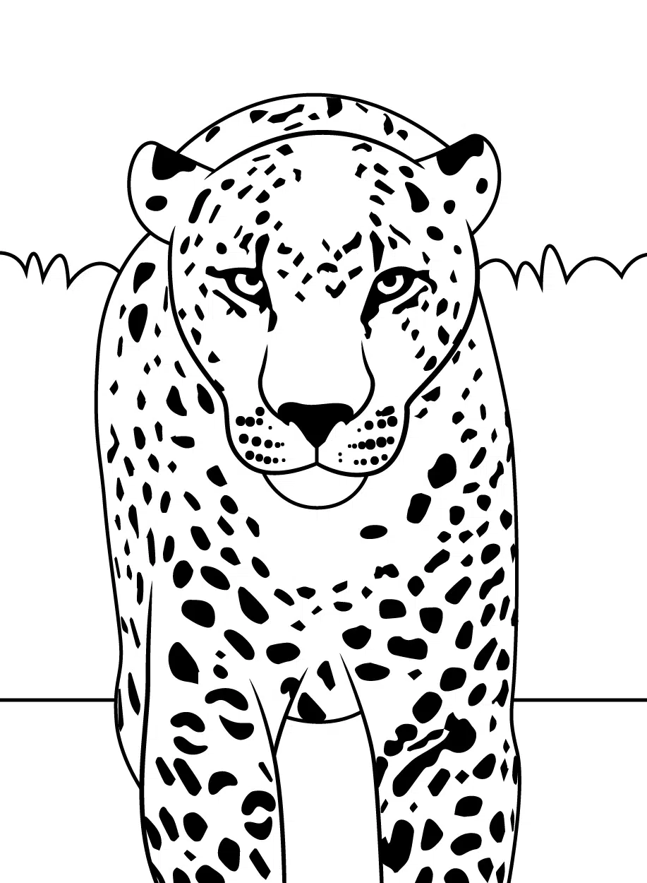 Leopard 05