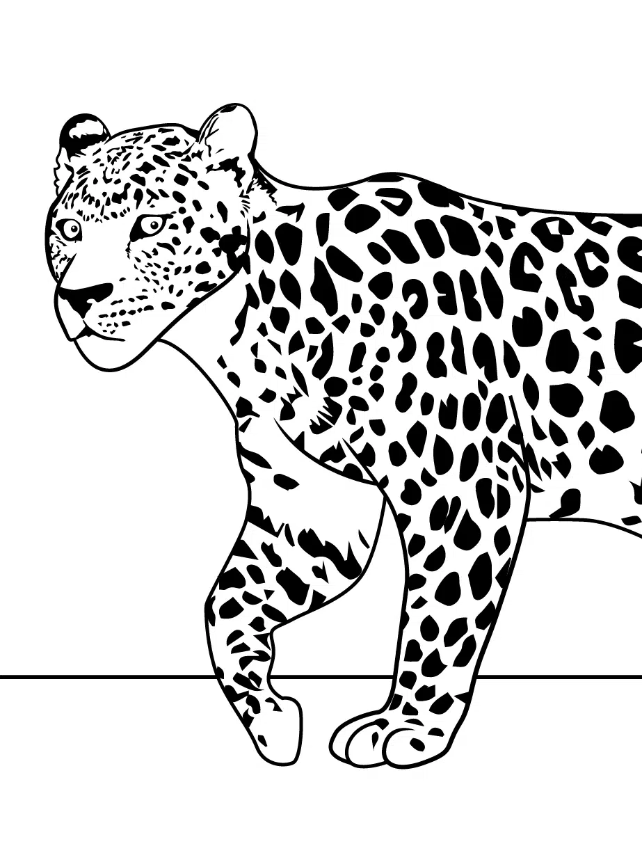 Leopard 10