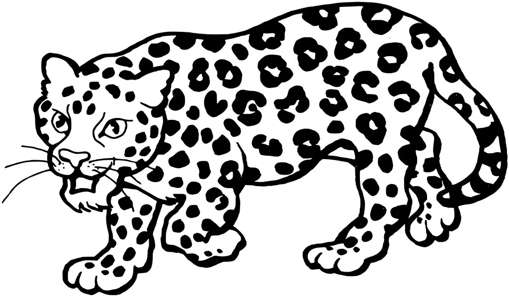 Leopard 20