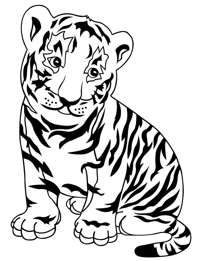 Tiger 05