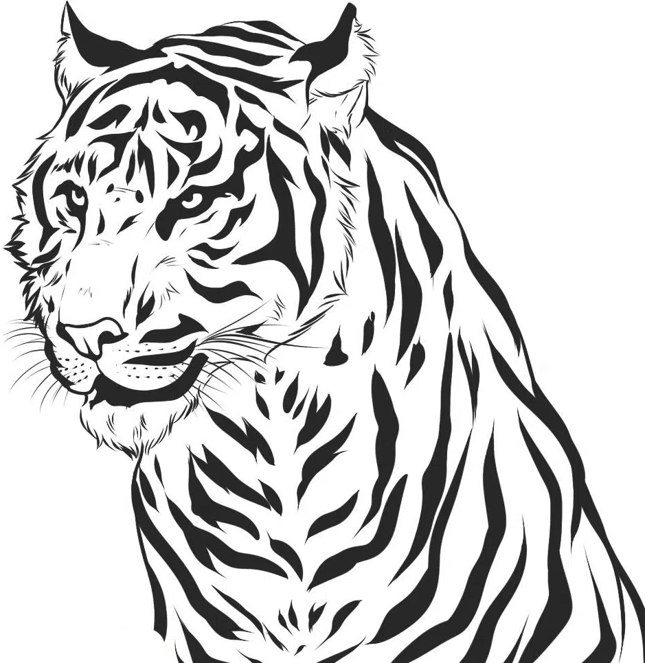 Tiger 10